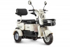 Электротрицикл Rutrike Gelbert Mercury 48V/60V 650Вт