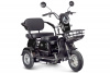 Электротрицикл Rutrike Gelbert Caf 48V/60V 600Вт
