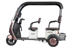 Электротрицикл Rutrike Gelbert Sarin 48V/60V 1000Вт