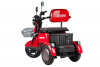 Электротрицикл Rutrike Gelbert Sun 48V/60V 650Вт