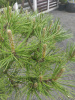 IMG_20240606_112941
